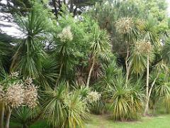 131 Ile de Batz Jardin Georges Delaselle_000019